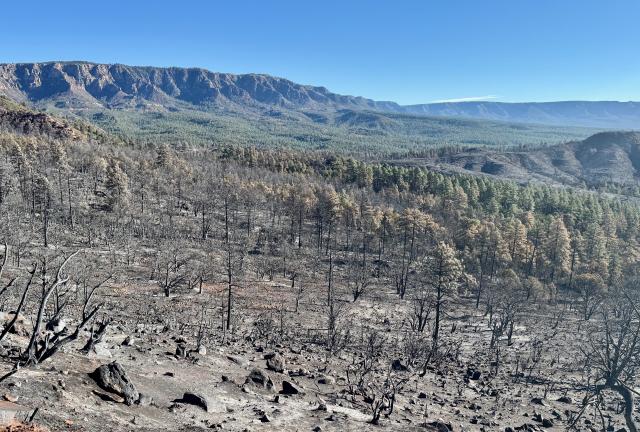 A view of the Mogollon Rim