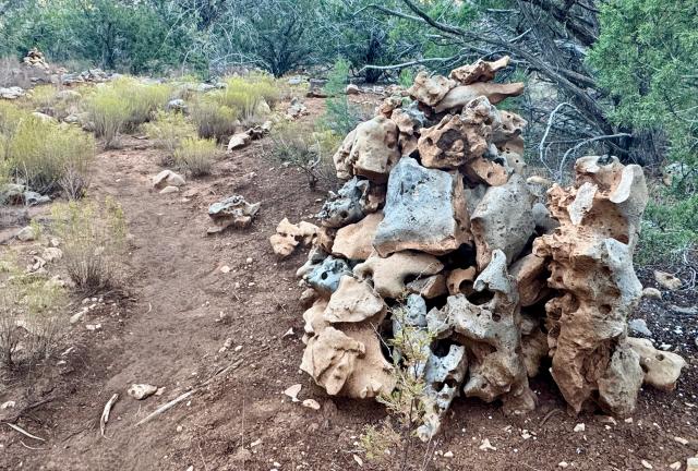 Rocks that look like dinosauer bones
