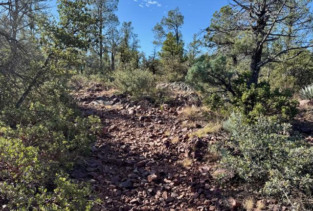 The trail begins a steep climb