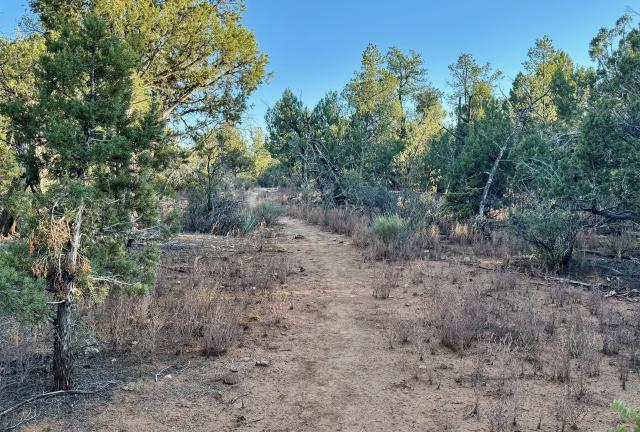 The trail on White Rock Plateau