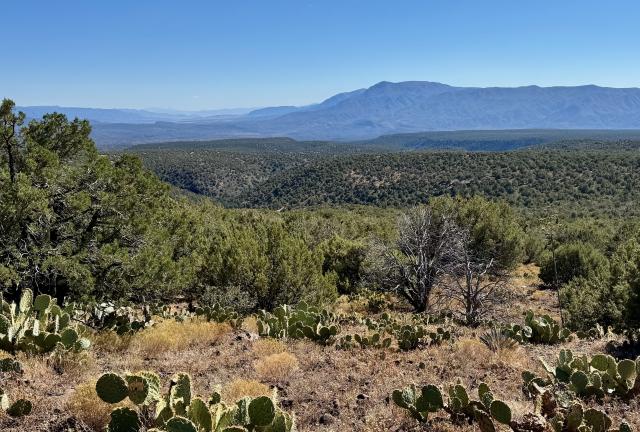 A closer view of the Mazatzals