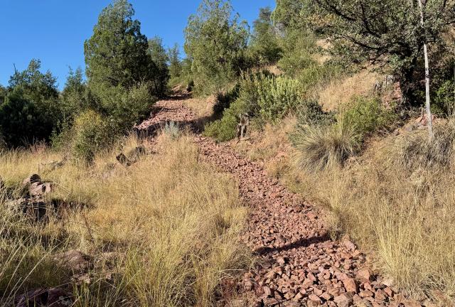 A rocky trail