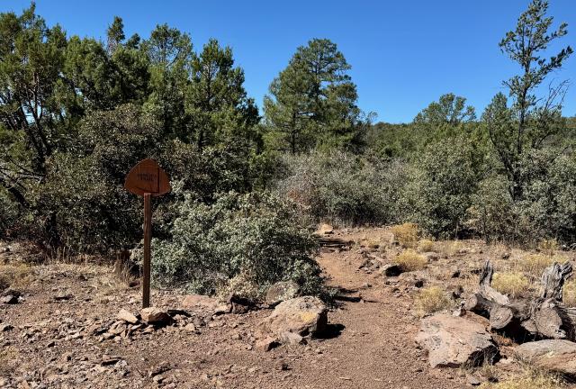 The trail leaves a dirt road