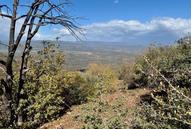 Clouds are breaking up