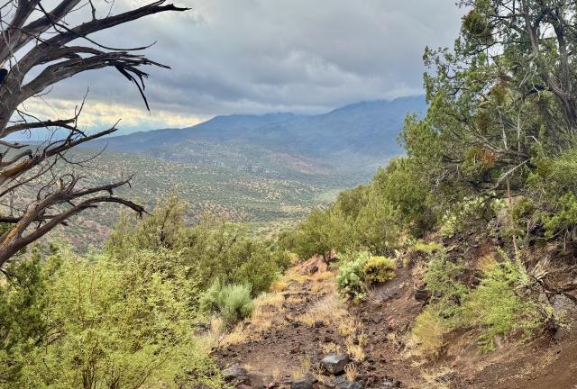 Looking down toward the East Verde River
