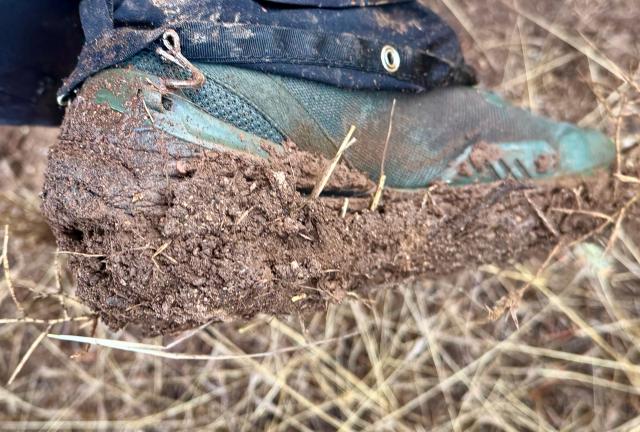 Mud caked to the bottom of a shoe