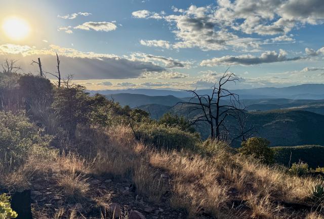 The sun is beginning to set