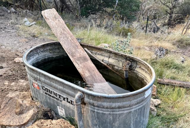 A galvanized metal trough of water
