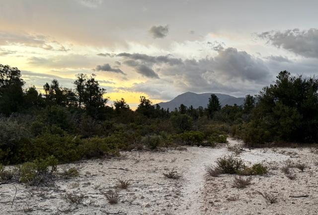 The trail crosses Whiterock Mesa