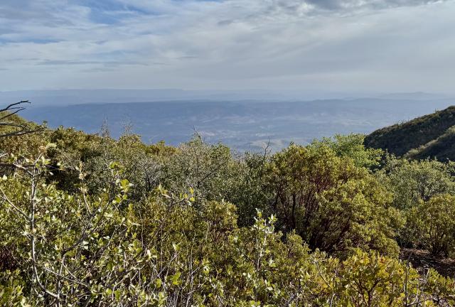 A hazy view from a mountain top