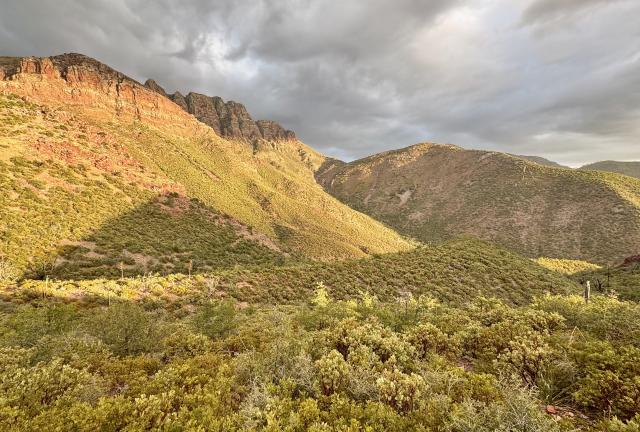 Golden hour sunlight hits a mountain side