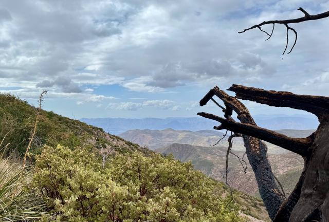 A distant view from a mountain top