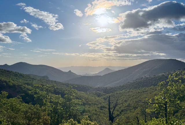 Late afternoon sunshine on the Arizona Trail