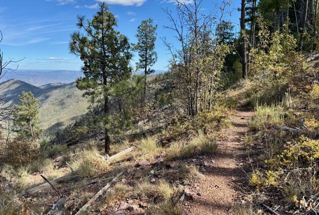 The Arizona Trail exits Mazatzal Wilderness