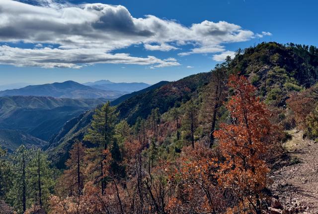 A view of Four Peaks