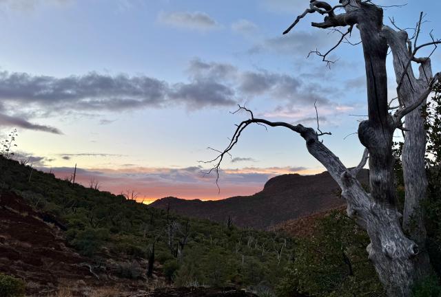 Sunrise at Mazatzal Wilderness