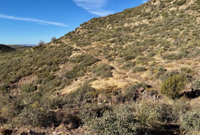 The mountainside becomes desert