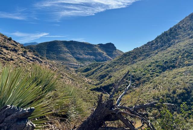 The trail exits the Mazatzal Wilderness