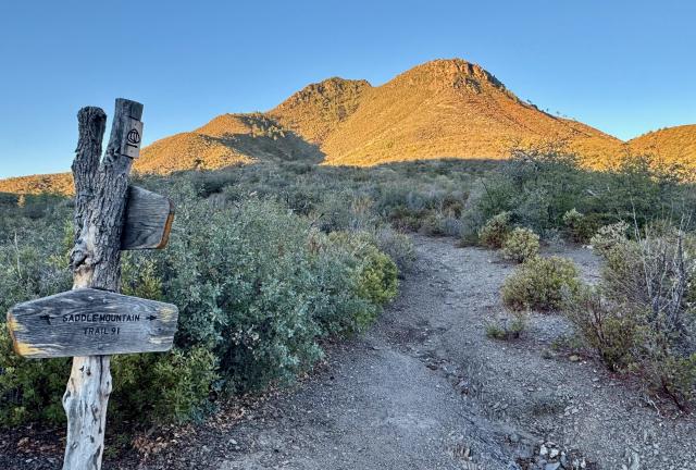 Saddle Mountain