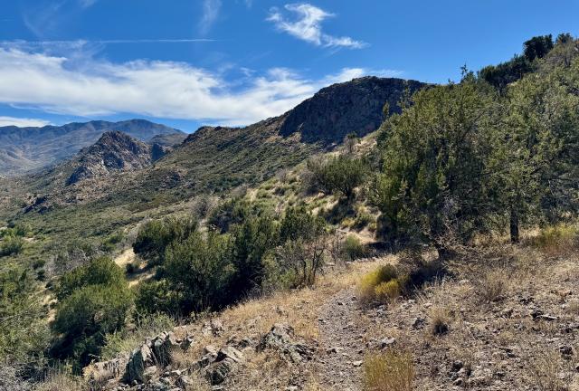 The Arizona Trail near Sunflower