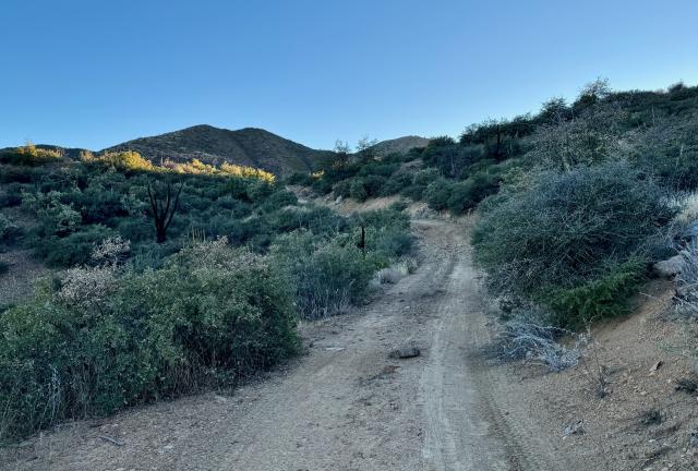 The Arizona Trail follows a dirt road