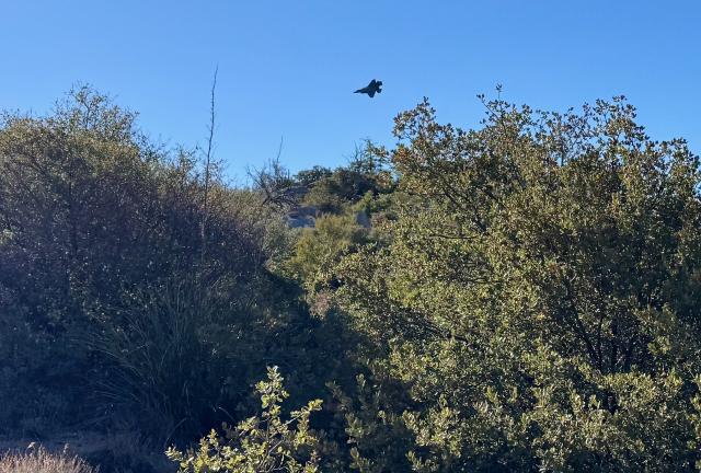 A fighter jet flies low overhead