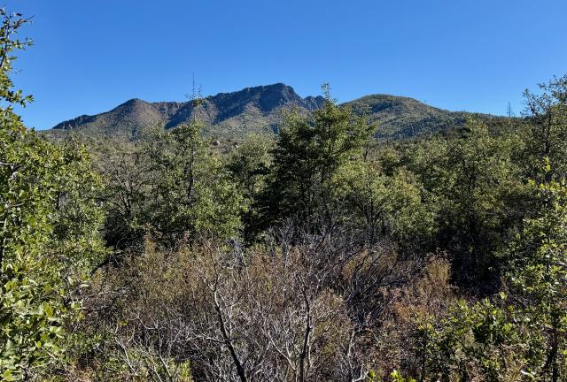 Four Peaks