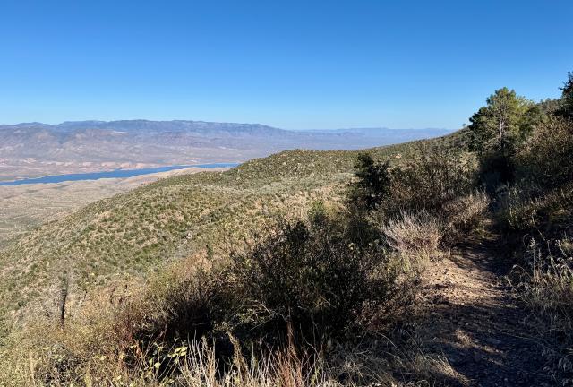 A view of Roosevelt Lake