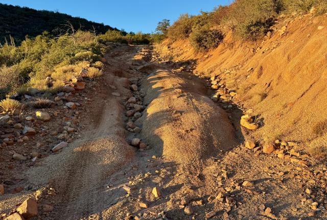 Ruts in Forest Road 422