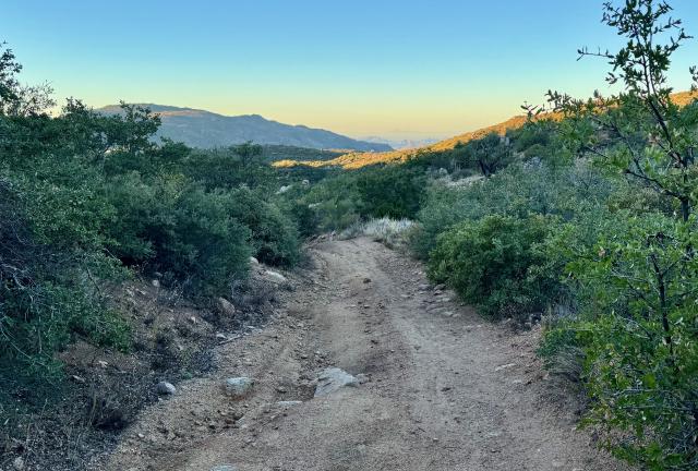 Shade on the trail in the early morning
