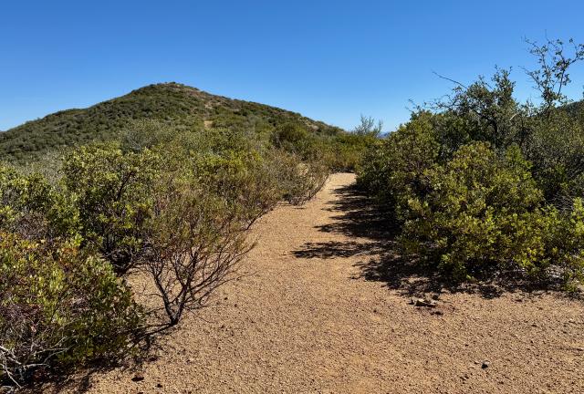 The mountains transition to desert