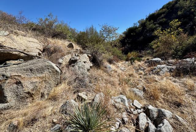 A partially hidden route out of Buckhorn Creek