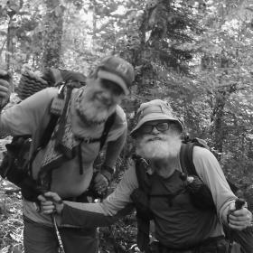 Tengo Hambre and Stick in the Woods