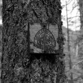 An old, weathered PCT marker nailed to a tree