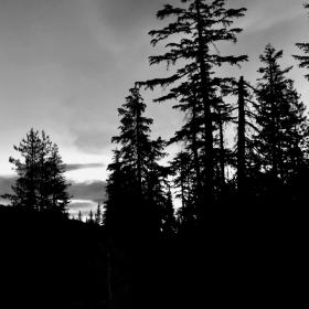 The sky at dawn near Porcupine Lake