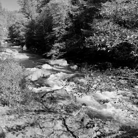 McCloud River