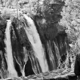 Bluejay at Burney Falls