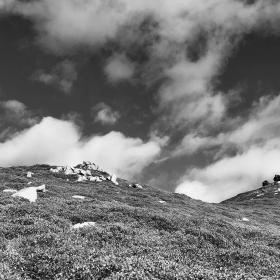 Clouds and manzanita