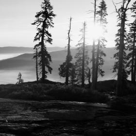 Sunrise on the PCT in Plumas National Forest