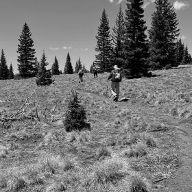 No Keys, OldTimer, and Top O' climb a ridge