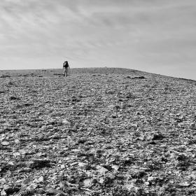 Top O's climbs to the top of a hill