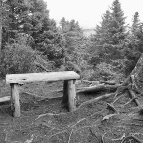 Bench on approach to Bemis Mountain