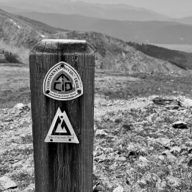 A post with emblems of the CDT and CT marks the trail