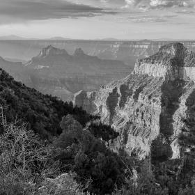 A view of the Grand Canyon from the North Rim