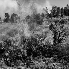 Grass is burning in Arizona