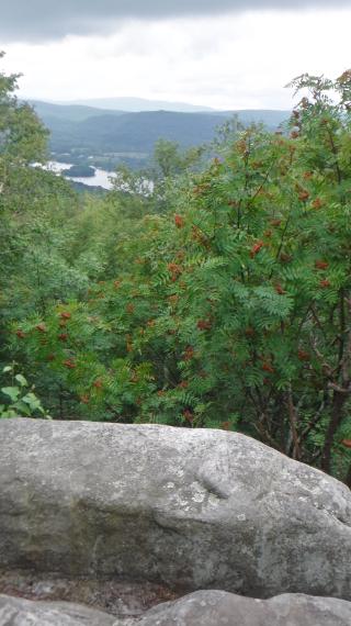View from Cheshire Cobble