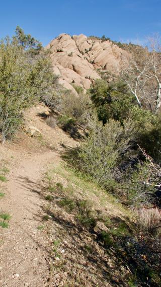 Sandstone outcropping