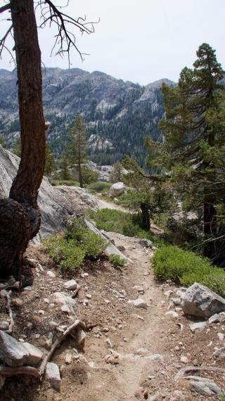 Descending Macomb Ridge in Yosemite