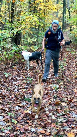 Tengo with the friendly dogs