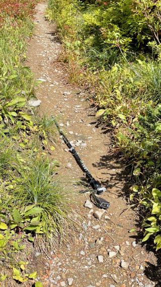 A trekking pole lying on the trail